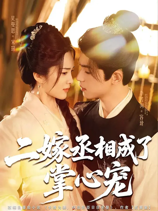 二嫁丞相成了掌心宠(全集)