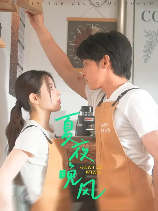 夏夜晚风(全集)