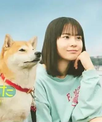 今日份的散步(全集)