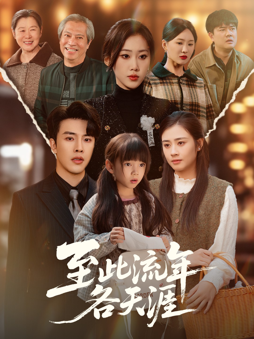 至此流年各天涯(全集)